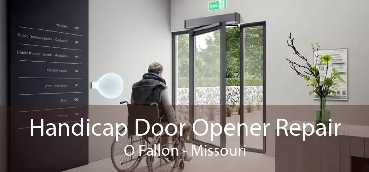 Handicap Door Opener Repair O Fallon - Missouri