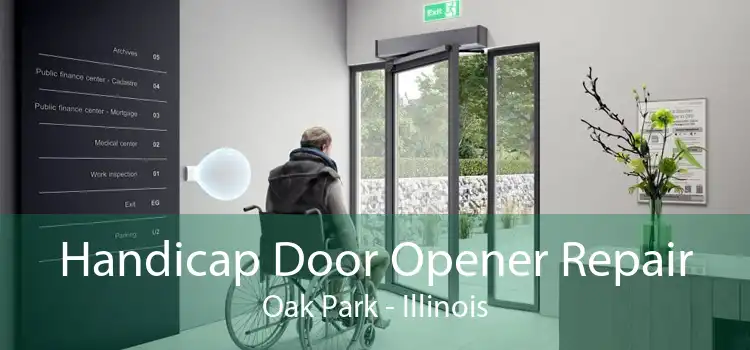 Handicap Door Opener Repair Oak Park - Illinois