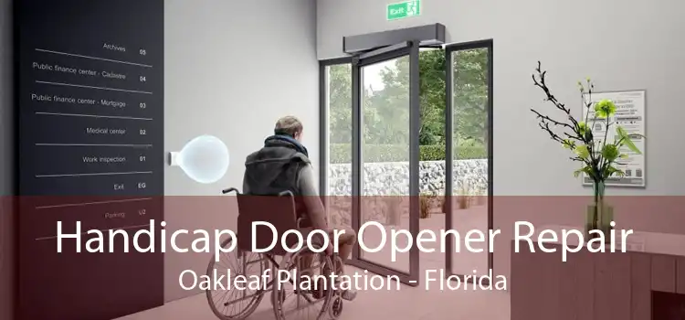 Handicap Door Opener Repair Oakleaf Plantation - Florida