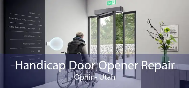 Handicap Door Opener Repair Ophir - Utah