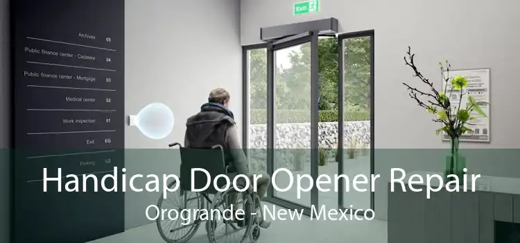 Handicap Door Opener Repair Orogrande - New Mexico