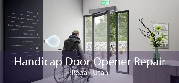 Handicap Door Opener Repair Peoa - Utah