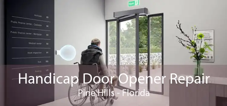 Handicap Door Opener Repair Pine Hills - Florida