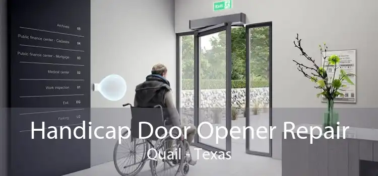 Handicap Door Opener Repair Quail - Texas