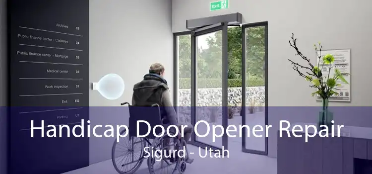 Handicap Door Opener Repair Sigurd - Utah