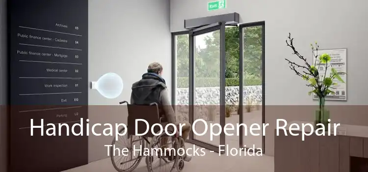 Handicap Door Opener Repair The Hammocks - Florida