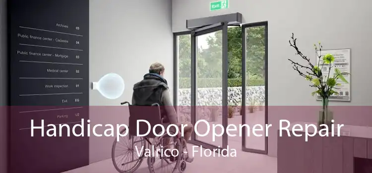 Handicap Door Opener Repair Valrico - Florida