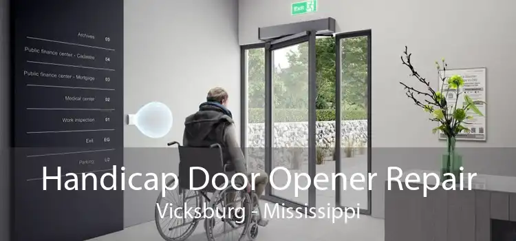 Handicap Door Opener Repair Vicksburg - Mississippi