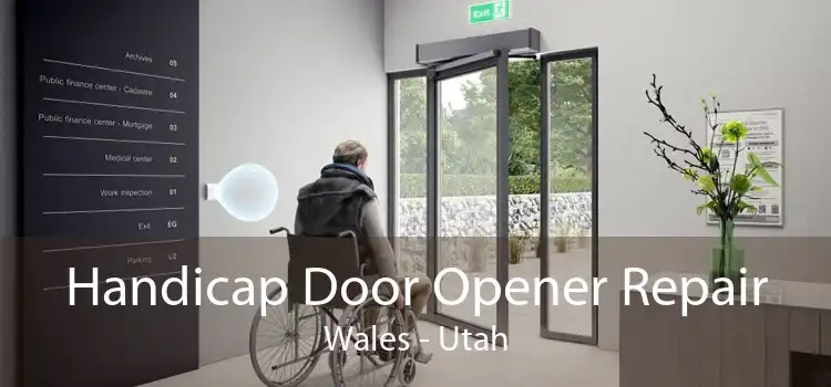 Handicap Door Opener Repair Wales - Utah