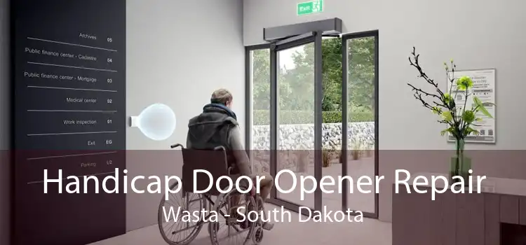 Handicap Door Opener Repair Wasta - South Dakota