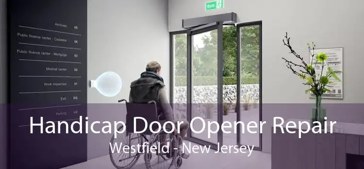 Handicap Door Opener Repair Westfield - New Jersey