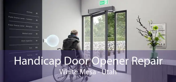 Handicap Door Opener Repair White Mesa - Utah