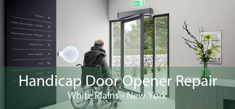 Handicap Door Opener Repair White Plains - New York