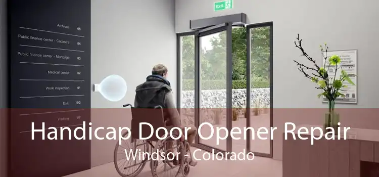 Handicap Door Opener Repair Windsor - Colorado