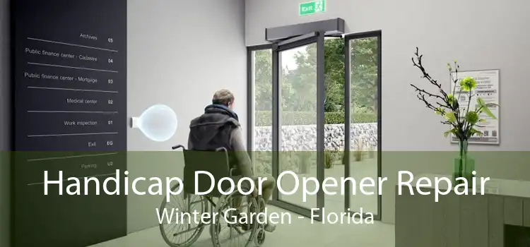 Handicap Door Opener Repair Winter Garden - Florida