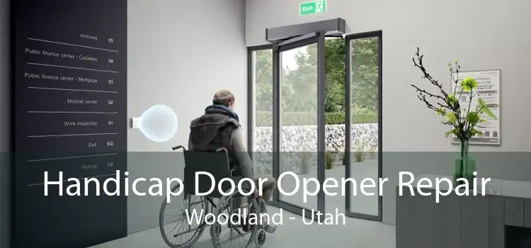 Handicap Door Opener Repair Woodland - Utah