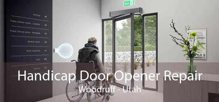 Handicap Door Opener Repair Woodruff - Utah