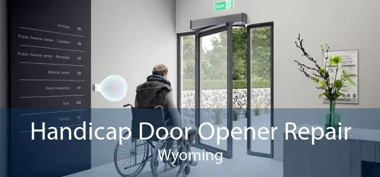 Handicap Door Opener Repair Wyoming