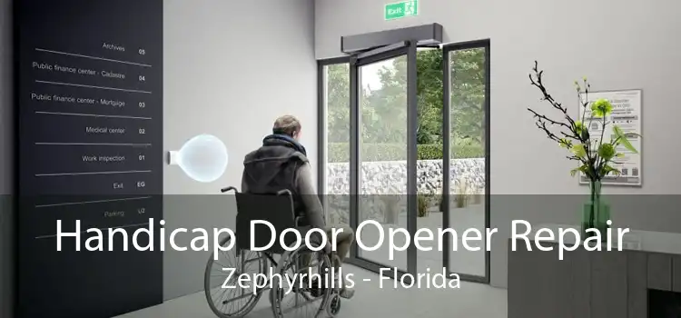 Handicap Door Opener Repair Zephyrhills - Florida