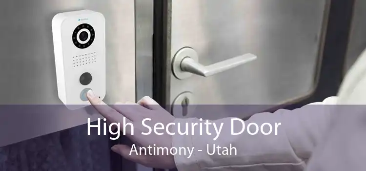 High Security Door Antimony - Utah