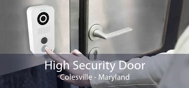 High Security Door Colesville - Maryland
