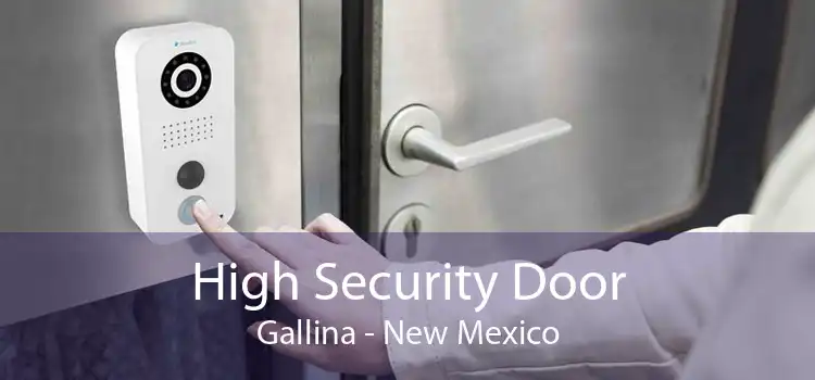 High Security Door Gallina - New Mexico
