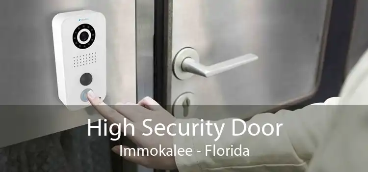 High Security Door Immokalee - Florida