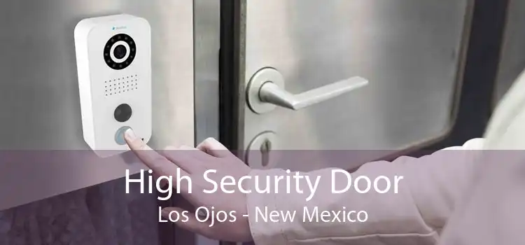 High Security Door Los Ojos - New Mexico