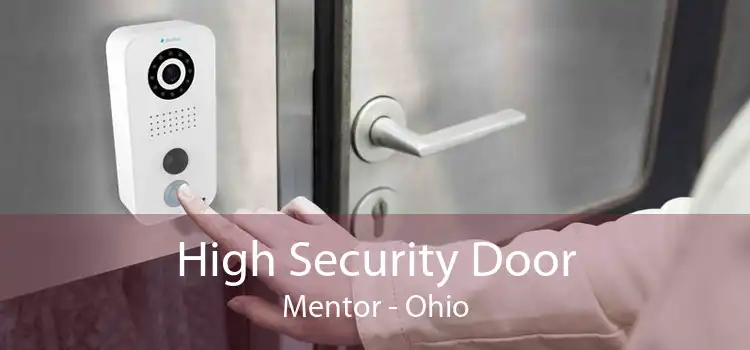 High Security Door Mentor - Ohio
