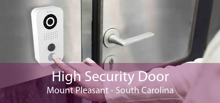High Security Door Mount Pleasant - South Carolina