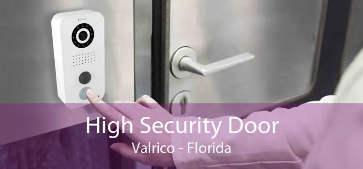 High Security Door Valrico - Florida