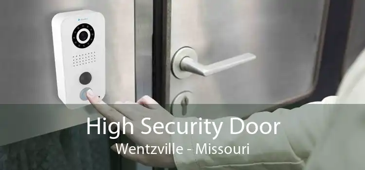 High Security Door Wentzville - Missouri