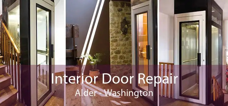 Interior Door Repair Alder - Washington