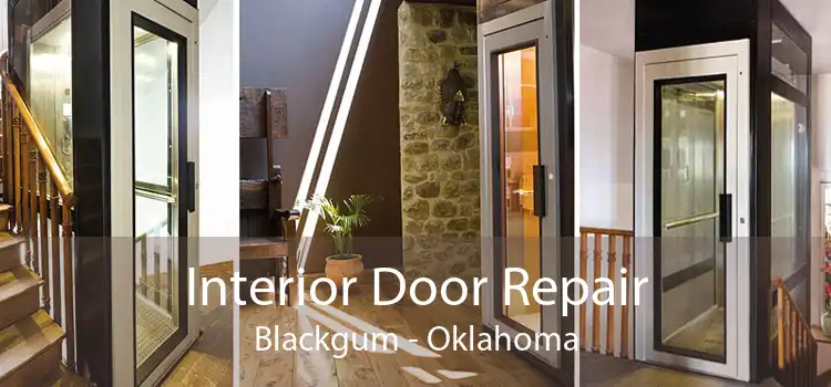 Interior Door Repair Blackgum - Oklahoma