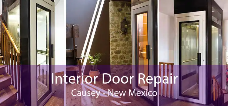 Interior Door Repair Causey - New Mexico