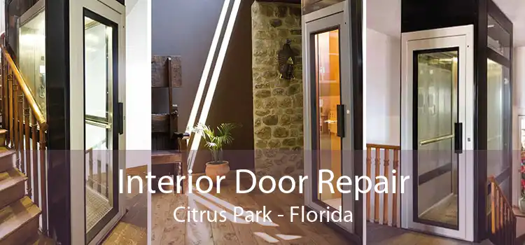 Interior Door Repair Citrus Park - Florida