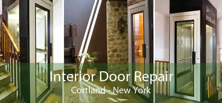 Interior Door Repair Cortland - New York
