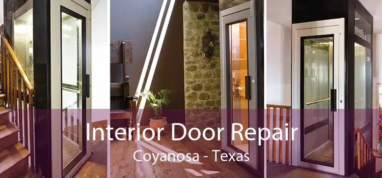 Interior Door Repair Coyanosa - Texas