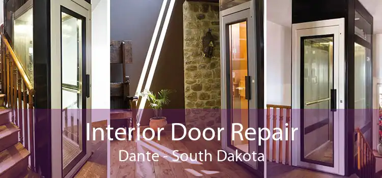 Interior Door Repair Dante - South Dakota