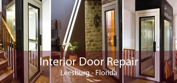 Interior Door Repair Leesburg - Florida