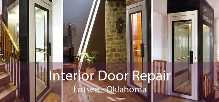 Interior Door Repair Lotsee - Oklahoma