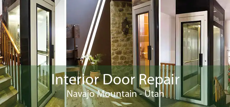 Interior Door Repair Navajo Mountain - Utah