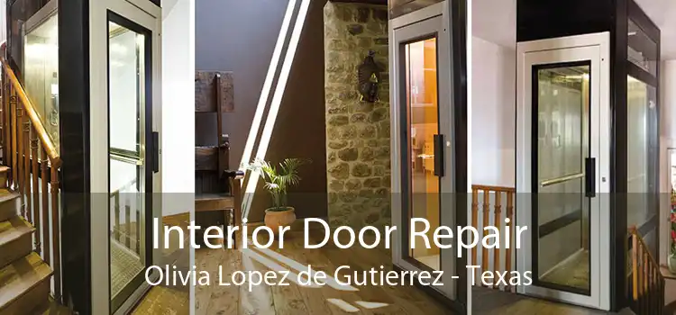 Interior Door Repair Olivia Lopez de Gutierrez - Texas