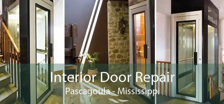 Interior Door Repair Pascagoula - Mississippi