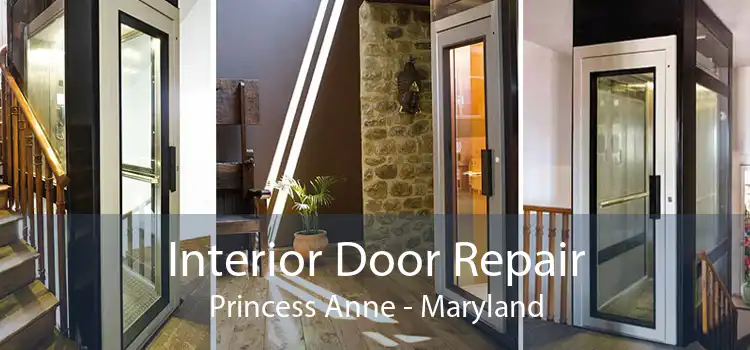 Interior Door Repair Princess Anne - Maryland