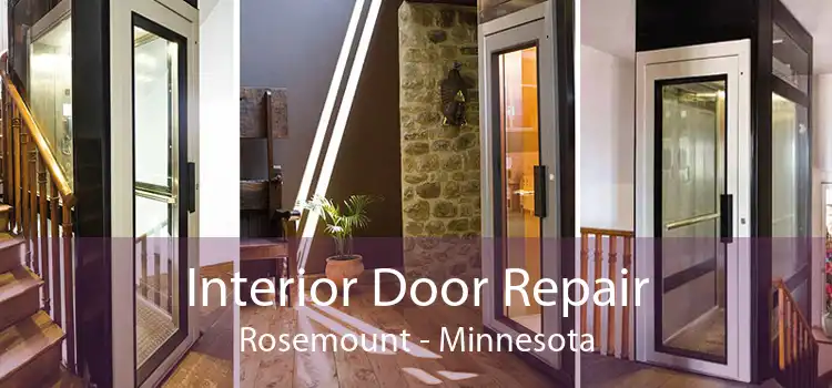 Interior Door Repair Rosemount - Minnesota