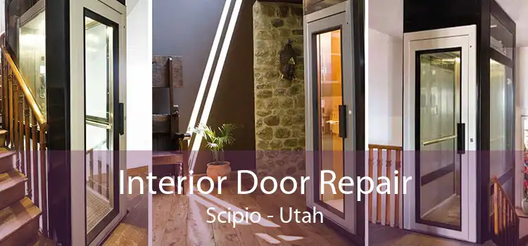 Interior Door Repair Scipio - Utah