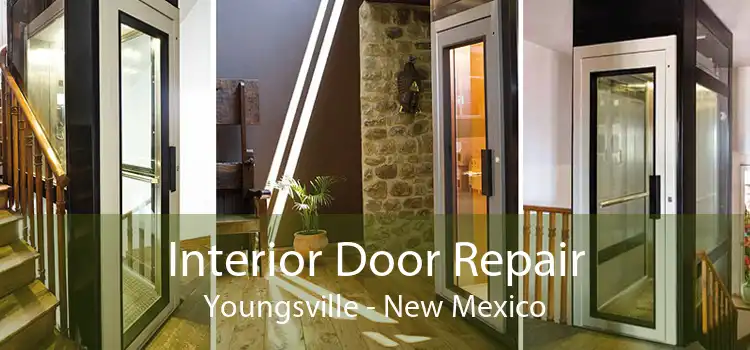 Interior Door Repair Youngsville - New Mexico
