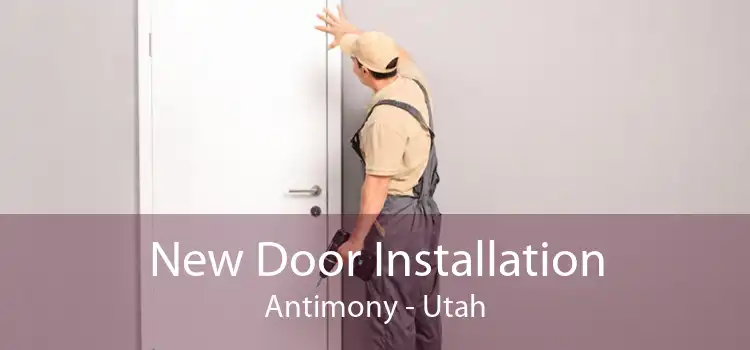 New Door Installation Antimony - Utah