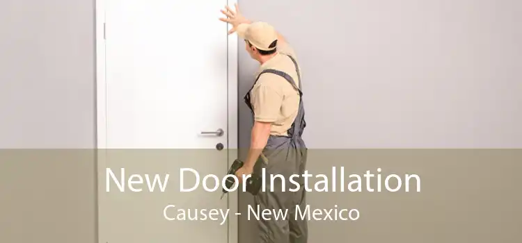 New Door Installation Causey - New Mexico